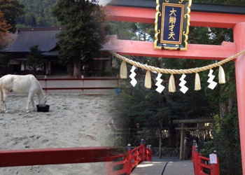 天川神社